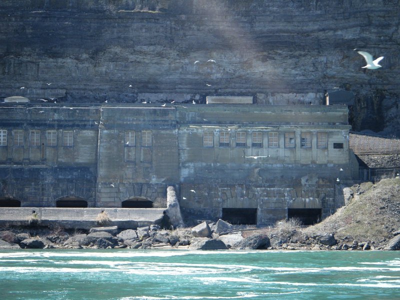 chrisniaraga 259.jpg